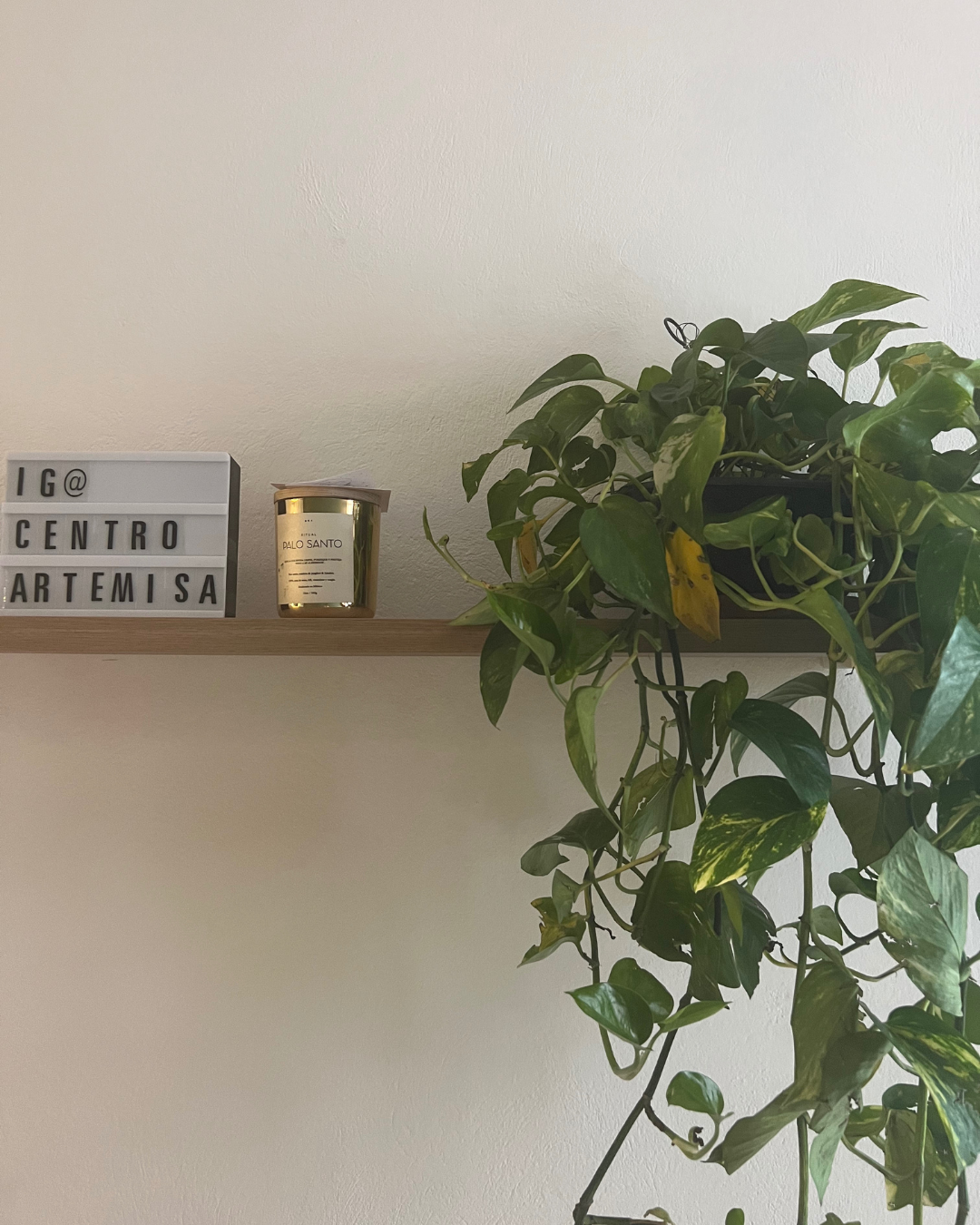 Espacio cálido de Centro Artemisa con detalles naturales y luz suave